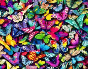 arcobaleno di farfalle